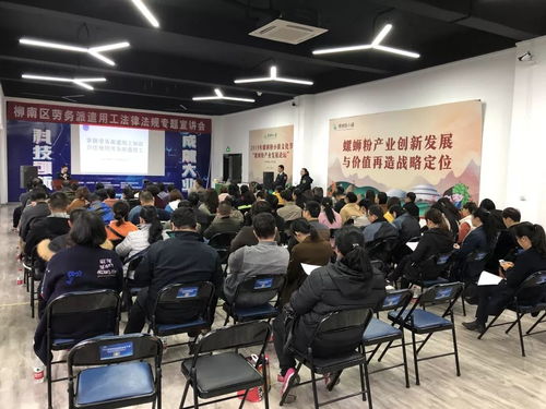 柳南區舉辦勞務派遣用工法律法規專題宣講會，助力互聯網信息服務行業規范發展